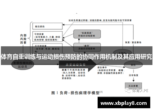 体育自重训练与运动损伤预防的协同作用机制及其应用研究